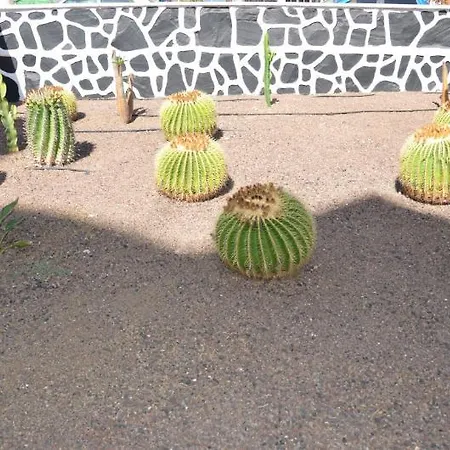 Hotel Los Cactus 5*